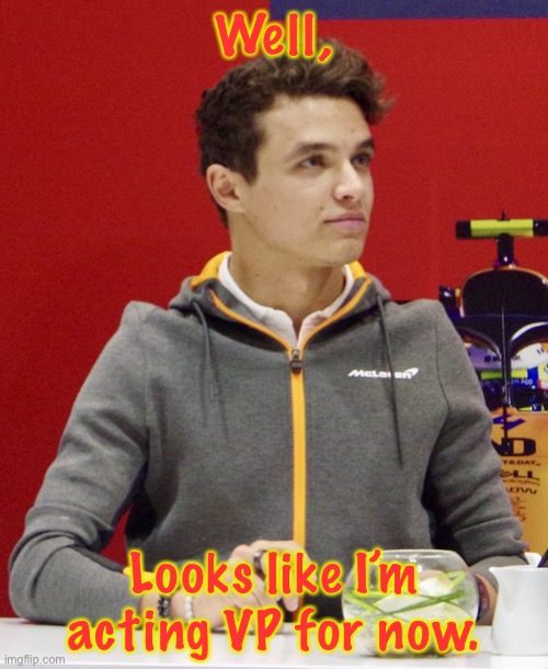 Lando Norris announcement | Well, Looks like I’m acting VP for now. | image tagged in lando norris | made w/ Imgflip meme maker
