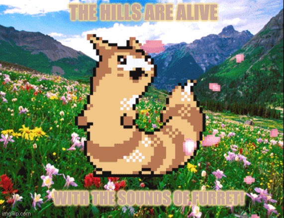 Fur fur | THE HILLS ARE ALIVE; WITH THE SOUNDS OF FURRET! | image tagged in fur fur fur,furret,pokemon,anime,cute animals | made w/ Imgflip meme maker