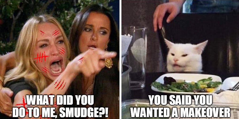 Feel the Pain | WHAT DID YOU DO TO ME, SMUDGE?! YOU SAID YOU WANTED A MAKEOVER | image tagged in smudge the cat,meme,memes | made w/ Imgflip meme maker