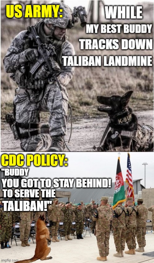 Dog Squad |  US ARMY:; CDC POLICY:; "BUDDY; YOU GOT TO STAY BEHIND! TO SERVE THE; TALIBAN!" | image tagged in pentagon,excuse,usarmy,taliban | made w/ Imgflip meme maker