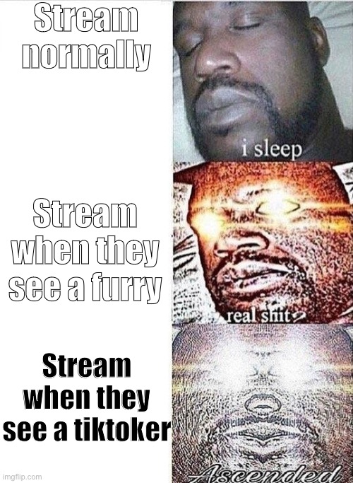 bruh moment | Stream normally; Stream when they see a furry; Stream when they see a tiktoker | image tagged in i sleep real shit ascended,imgflip,sus,memes,funni,bruh | made w/ Imgflip meme maker