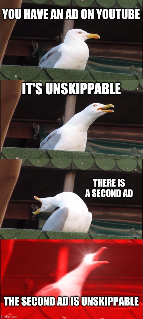 when you get a second ad on youtube | YOU HAVE AN AD ON YOUTUBE; IT'S UNSKIPPABLE; THERE IS A SECOND AD; THE SECOND AD IS UNSKIPPABLE | image tagged in memes,inhaling seagull,youtube ads | made w/ Imgflip meme maker