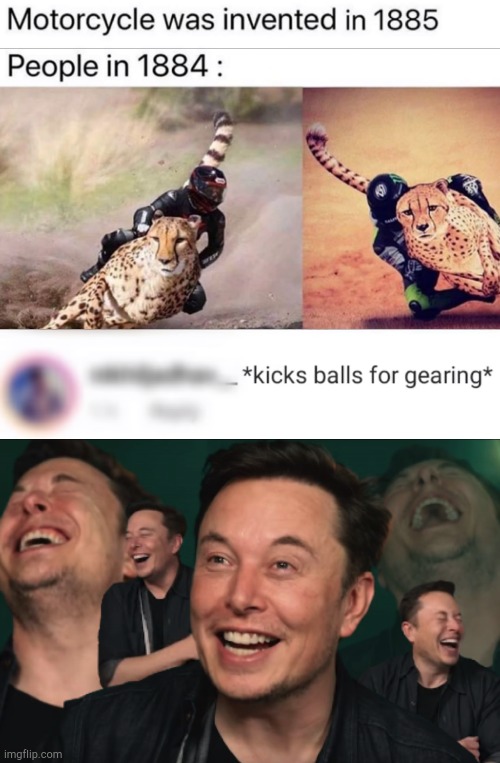 Pfffft- | image tagged in elon musk laughing | made w/ Imgflip meme maker