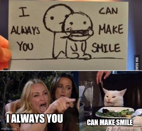 Which one of them is right? | CAN MAKE SMILE; I ALWAYS YOU | image tagged in woman yelling at cat | made w/ Imgflip meme maker
