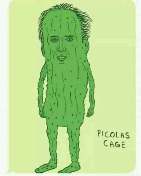 Pickle Blank Meme Template