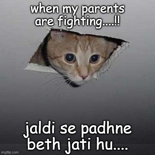 Ceiling Cat Meme | when my parents are fighting....!! jaldi se padhne beth jati hu.... | image tagged in memes,ceiling cat | made w/ Imgflip meme maker