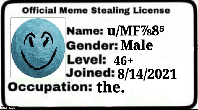 Meme Stealing License | u/MF⅞8⁵; Male; 46+; 8/14/2021; the. | image tagged in meme stealing license | made w/ Imgflip meme maker