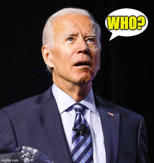 Joe Biden | WHO? | image tagged in joe biden | made w/ Imgflip meme maker