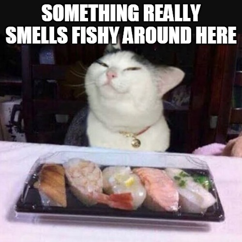SOMETHING REALLY SMELLS FISHY AROUND HERE | image tagged in meme,memes,cat,cats | made w/ Imgflip meme maker