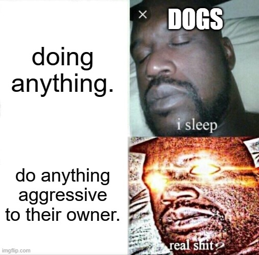 dogs be like | DOGS; doing anything. do anything aggressive to their owner. | image tagged in memes,sleeping shaq | made w/ Imgflip meme maker
