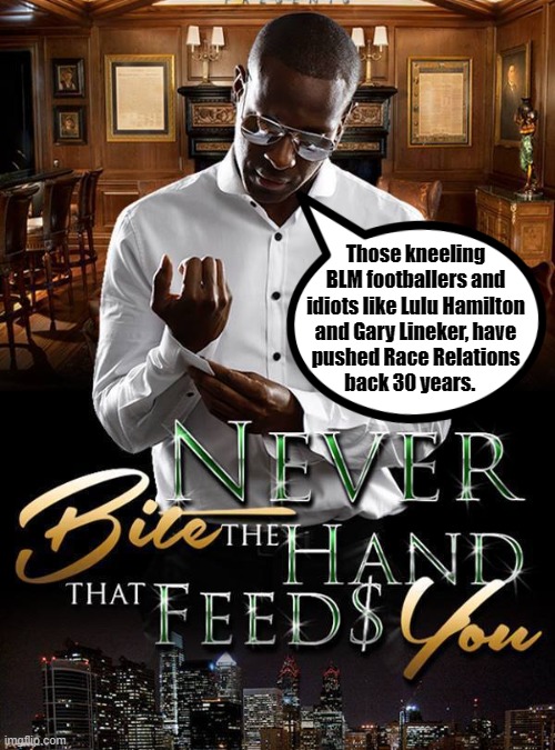 Never bite the hand that feeds. (book) | Those kneeling
BLM footballers and
idiots like Lulu Hamilton
and Gary Lineker, have
pushed Race Relations
back 30 years. | image tagged in blm | made w/ Imgflip meme maker