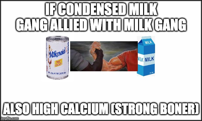 first time(dani fan) | IF CONDENSED MILK GANG ALLIED WITH MILK GANG; ALSO HIGH CALCIUM (STRONG BONER) | image tagged in plain white | made w/ Imgflip meme maker