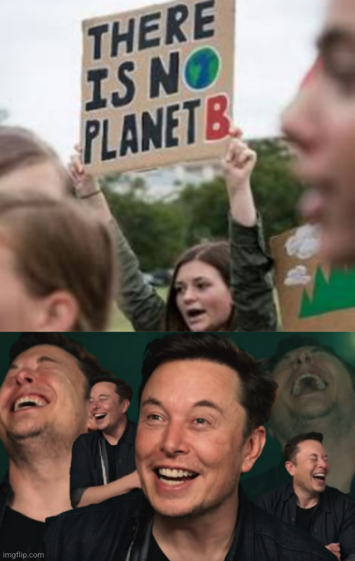 image tagged in elon musk laughing | made w/ Imgflip meme maker