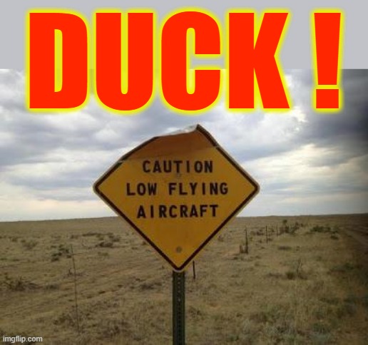 Low Flying Aircraft | DUCK ! | image tagged in duck on plane wing | made w/ Imgflip meme maker