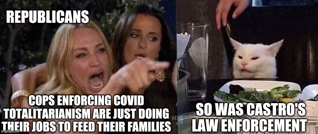 Stop supporting blue lives matter, you look stupid. | REPUBLICANS; COPS ENFORCING COVID TOTALITARIANISM ARE JUST DOING THEIR JOBS TO FEED THEIR FAMILIES; SO WAS CASTRO'S LAW ENFORCEMENT | image tagged in woman yelling at cat,republicans,republican,blue lives matter,cop,cops | made w/ Imgflip meme maker
