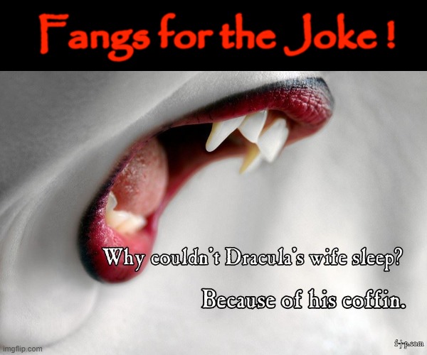 Fangs ! | Fangs for the Joke ! | image tagged in coffin meme | made w/ Imgflip meme maker