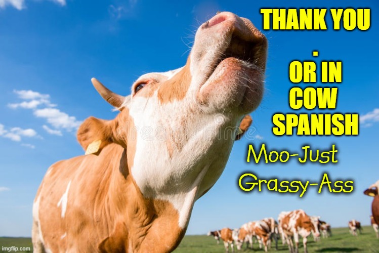 THANK YOU
.
OR IN
COW 
SPANISH Moo-Just 
Grassy-Ass | made w/ Imgflip meme maker