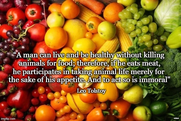 Immoral | minkpen | image tagged in vegan,leo,fruit,vegetables,meat,dairy | made w/ Imgflip meme maker