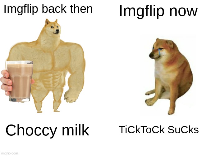 I  recently discovered this | Imgflip back then; Imgflip now; Choccy milk; TiCkToCk SuCks | image tagged in memes,buff doge vs cheems | made w/ Imgflip meme maker