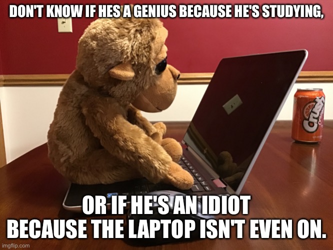 New meme template lets goooooooooooooooooo | DON'T KNOW IF HES A GENIUS BECAUSE HE'S STUDYING, OR IF HE'S AN IDIOT BECAUSE THE LAPTOP ISN'T EVEN ON. | image tagged in monkey on computer | made w/ Imgflip meme maker
