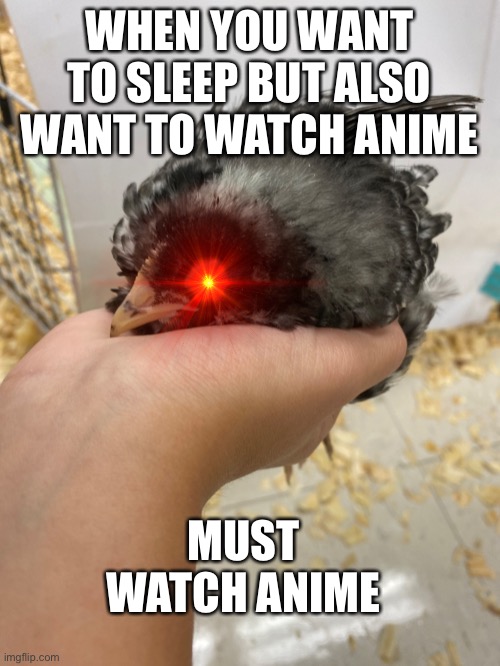 When your sleepy | WHEN YOU WANT TO SLEEP BUT ALSO WANT TO WATCH ANIME; MUST WATCH ANIME | image tagged in sad but true | made w/ Imgflip meme maker