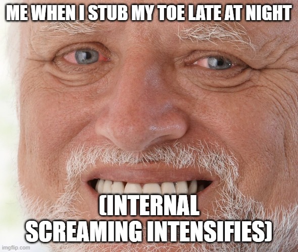 this happens to often | ME WHEN I STUB MY TOE LATE AT NIGHT; (INTERNAL SCREAMING INTENSIFIES) | image tagged in hide the pain harold,midnight,internal screaming,pain | made w/ Imgflip meme maker