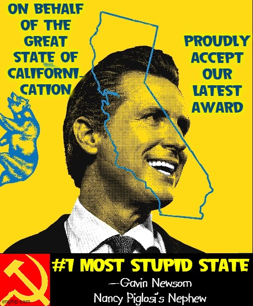Breaking News: California surpasses Delaware as Stupidest State |  ON BEHALF
OF THE
GREAT
STATE OF
CALIFORNI-
CATION; PROUDLY
ACCEPT
OUR
LATEST
AWARD; #1 MOST STUPID STATE; —Gavin Newsom
Nancy Piglosi's Nephew | image tagged in vince vance,human stupidity,memes,california,stupid,state | made w/ Imgflip meme maker