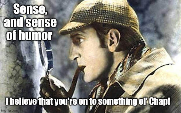 sherlock investigates | Sense, and sense of humor I believe that you're on to something ol' Chap! | image tagged in sherlock investigates | made w/ Imgflip meme maker