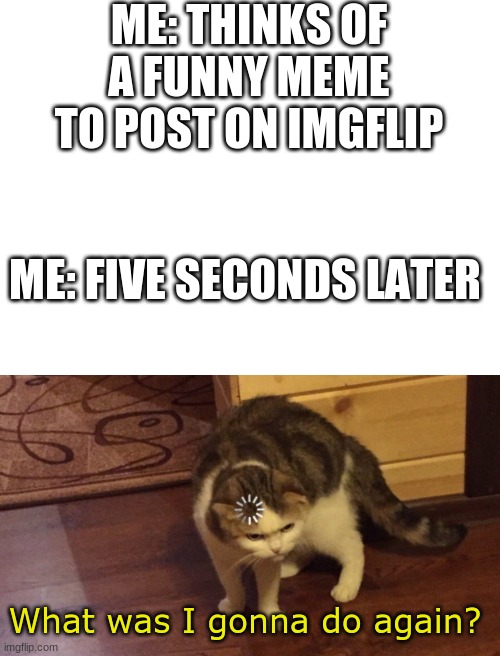 ? | ME: THINKS OF A FUNNY MEME TO POST ON IMGFLIP; ME: FIVE SECONDS LATER; What was I gonna do again? | image tagged in cat buffering,relatable,imgflip,i forgot,oh wow are you actually reading these tags | made w/ Imgflip meme maker