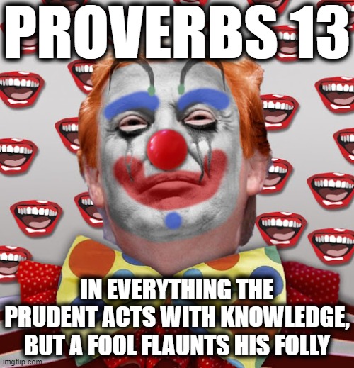 PROVERBS 13 | PROVERBS 13; IN EVERYTHING THE PRUDENT ACTS WITH KNOWLEDGE, BUT A FOOL FLAUNTS HIS FOLLY | image tagged in fool,folly,knowledge,trump,proverbs,13 | made w/ Imgflip meme maker