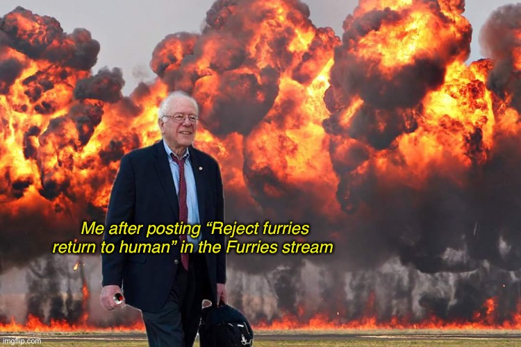 Joke obviously | Me after posting “Reject furries return to human” in the Furries stream | image tagged in feel the bern | made w/ Imgflip meme maker