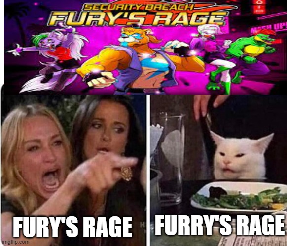 My Frustrations Meme #3 | FURY'S RAGE; FURRY'S RAGE | image tagged in lady screams at cat | made w/ Imgflip meme maker