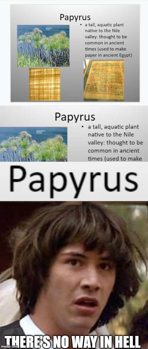 papyrus | THERE'S NO WAY IN HELL | image tagged in memes,conspiracy keanu | made w/ Imgflip meme maker