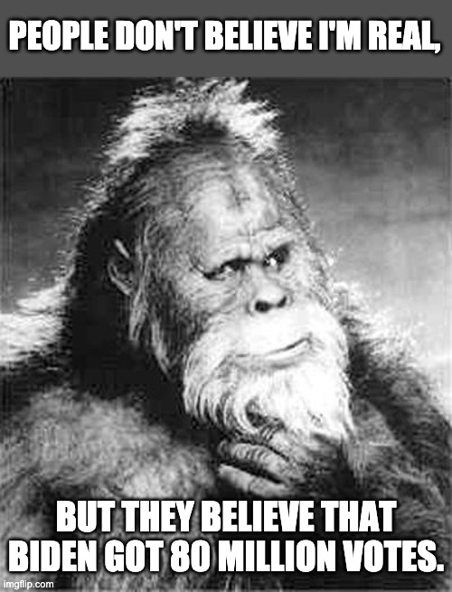 Bigfoot | PEOPLE DON'T BELIEVE I'M REAL, BUT THEY BELIEVE THAT BIDEN GOT 80 MILLION VOTES. | image tagged in bigfoot | made w/ Imgflip meme maker