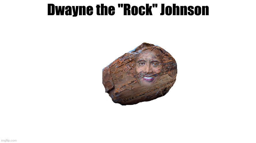 That is what it says | Dwayne the "Rock" Johnson | image tagged in the rock | made w/ Imgflip meme maker