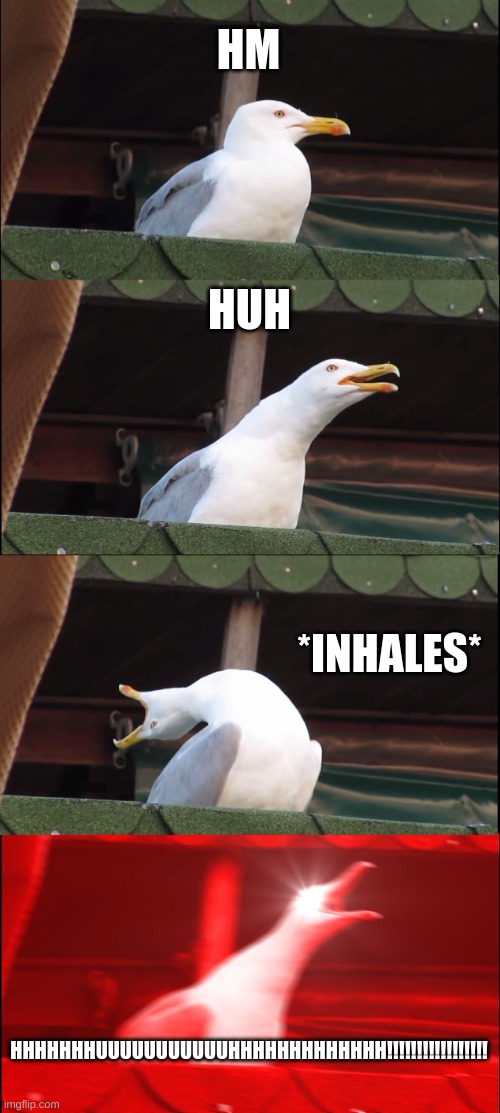 hm. | HM; HUH; *INHALES*; HHHHHHHUUUUUUUUUUUHHHHHHHHHHHHH!!!!!!!!!!!!!!!!! | image tagged in memes,inhaling seagull | made w/ Imgflip meme maker