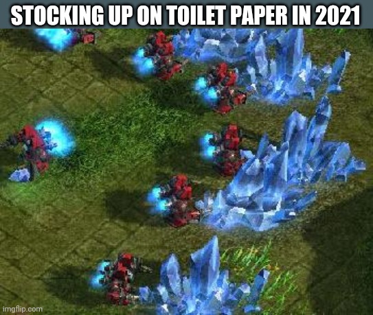 STOCKING UP ON TOILET PAPER IN 2021 | image tagged in funny memes | made w/ Imgflip meme maker