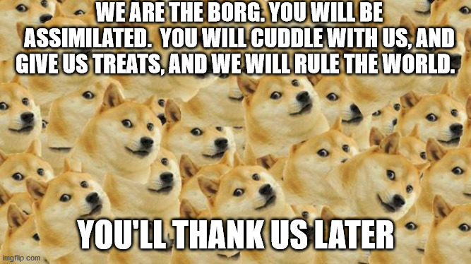 Multi Doge | WE ARE THE BORG. YOU WILL BE ASSIMILATED.  YOU WILL CUDDLE WITH US, AND GIVE US TREATS, AND WE WILL RULE THE WORLD. YOU'LL THANK US LATER | image tagged in memes,multi doge | made w/ Imgflip meme maker
