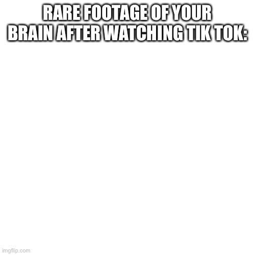( ͡? ͜ʖ ͡?) | RARE FOOTAGE OF YOUR BRAIN AFTER WATCHING TIK TOK: | image tagged in memes,blank transparent square | made w/ Imgflip meme maker