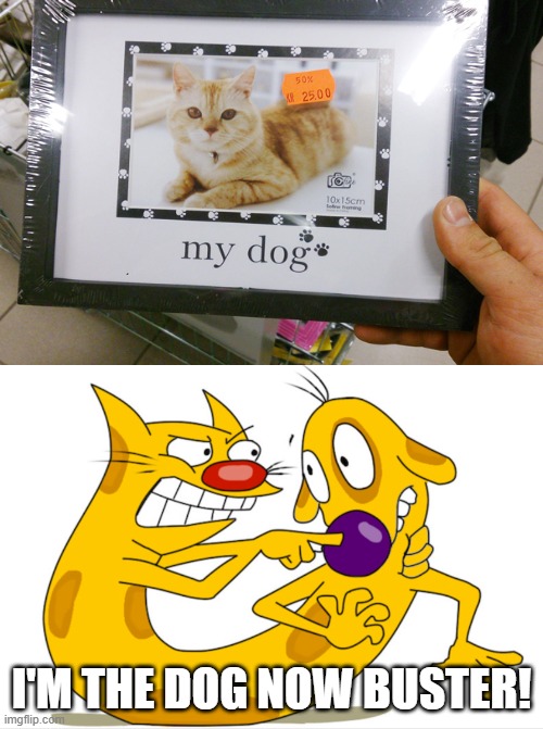 favorite type of dog | I'M THE DOG NOW BUSTER! | image tagged in catdog | made w/ Imgflip meme maker