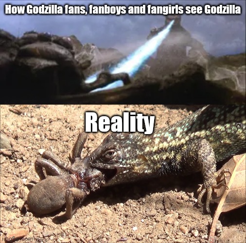 Godzilla vs Kumonga |  How Godzilla fans, fanboys and fangirls see Godzilla; Reality | image tagged in godzilla | made w/ Imgflip meme maker