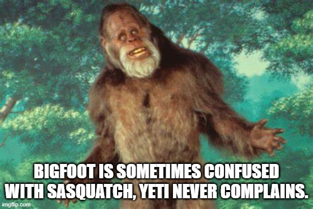 BIGFOOT IS SOMETIMES CONFUSED WITH SASQUATCH, YETI NEVER COMPLAINS. | made w/ Imgflip meme maker