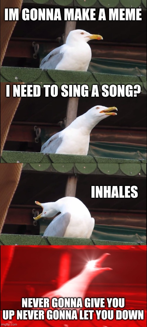 lol | IM GONNA MAKE A MEME; I NEED TO SING A SONG? INHALES; NEVER GONNA GIVE YOU UP NEVER GONNA LET YOU DOWN | image tagged in memes,inhaling seagull | made w/ Imgflip meme maker