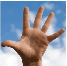 High Quality five fingers Blank Meme Template