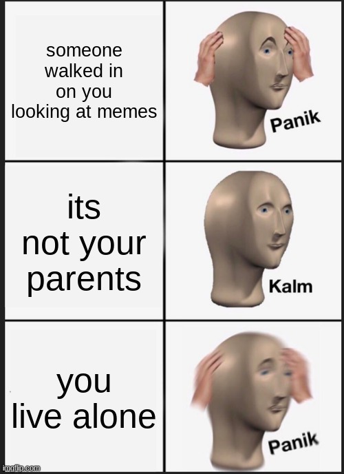 Panik Kalm Panik Meme |  someone walked in on you looking at memes; its not your parents; you live alone | image tagged in memes,panik kalm panik | made w/ Imgflip meme maker