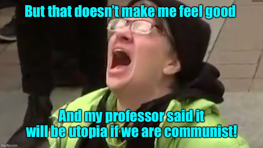 Screaming Liberal  | But that doesn’t make me feel good And my professor said it will be utopia if we are communist! | image tagged in screaming liberal | made w/ Imgflip meme maker