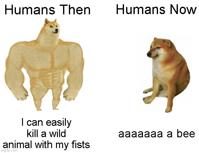 humans then VS humans now | Humans Then; Humans Now; I can easily kill a wild animal with my fists; aaaaaaa a bee | image tagged in memes,buff doge vs cheems | made w/ Imgflip meme maker