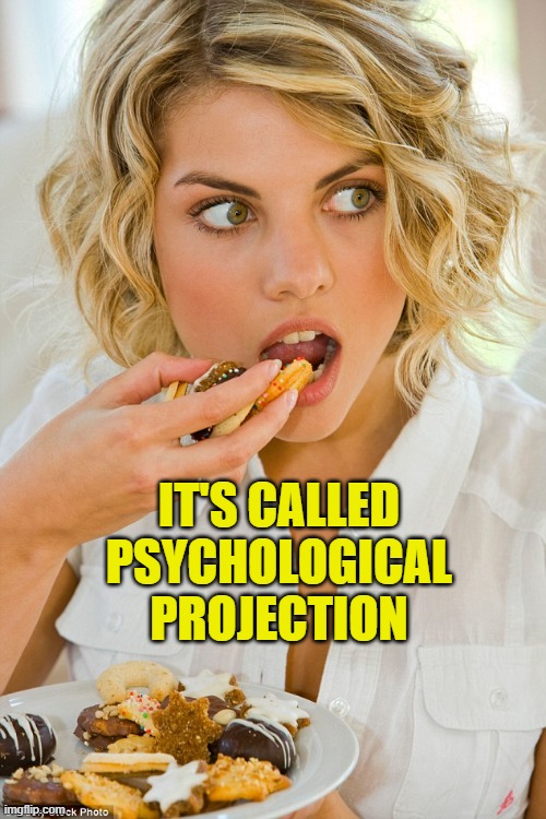 Cookie Thief | IT'S CALLED PSYCHOLOGICAL PROJECTION | image tagged in cookie thief | made w/ Imgflip meme maker