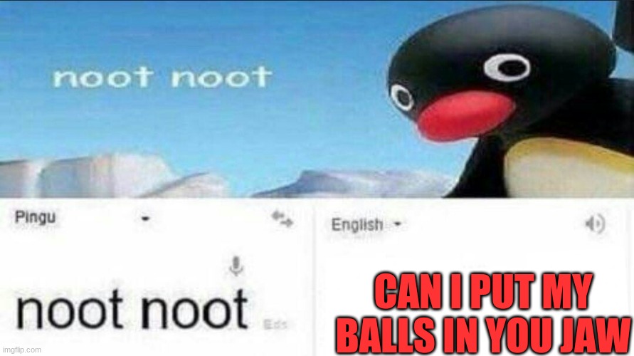 ur mom memes | CAN I PUT MY BALLS IN YOU JAW | image tagged in noot noot google translate,funny memes | made w/ Imgflip meme maker