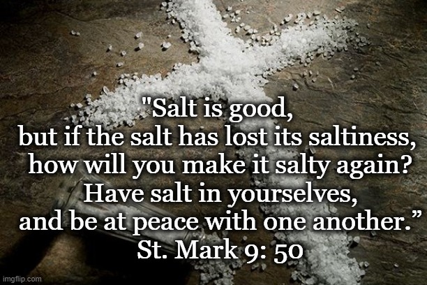 Salt Cross | "Salt is good, 
but if the salt has lost its saltiness, 
how will you make it salty again?
 Have salt in yourselves, 
and be at peace with one another.”
St. Mark 9: 50 | image tagged in bible verse | made w/ Imgflip meme maker